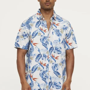 Chemise DARIZO Blue Grey