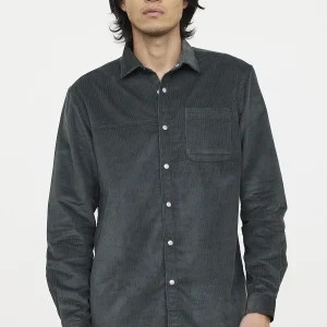 Chemise DOUILLE Thym