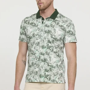 Polo BARACO Thym