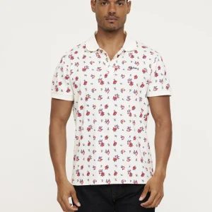 Polo Breur Cherry