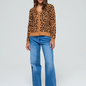 Pull Cardipar Camel