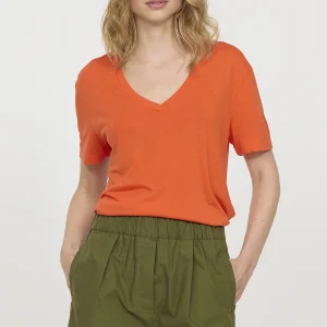 Short NICE Olive