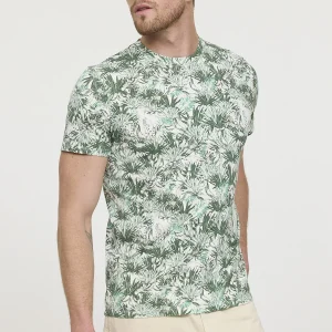 T-shirt ACTUS Thym