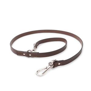 Laisse Chien Fido