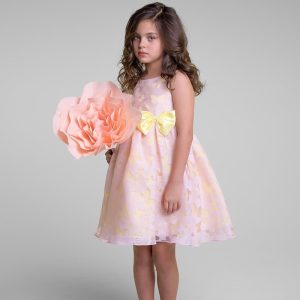 Robe Princesse Fille Papillon Rose